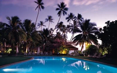 Plantas Para la Piscina: ¿Cuáles Son las Mejores y Más Bellas?