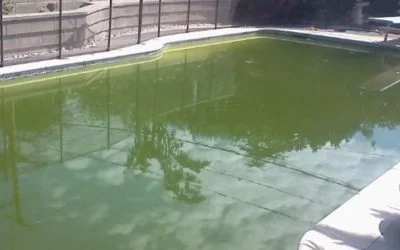 El Agua Turbia de la Piscina: Causas, Consecuencias y Cómo Prevenirla o Combatirla